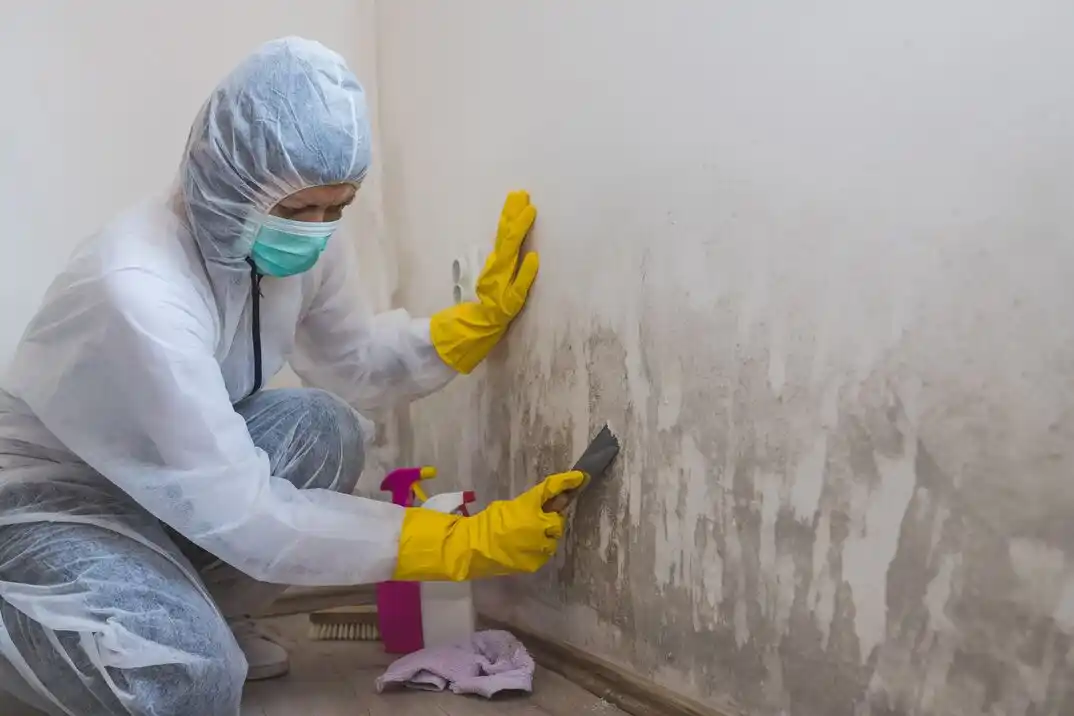 water damage restoration service Carmena